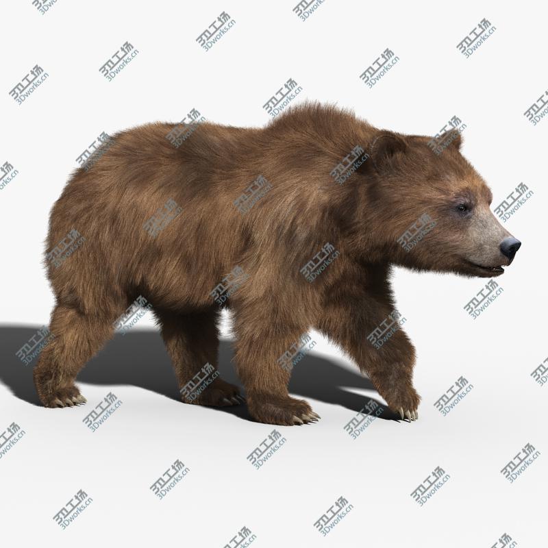 images/goods_img/202105073/Brown Bear(FUR)(RIGGED)/2.jpg